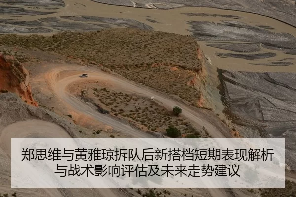 郑思维与黄雅琼拆队后新搭档短期表现解析与战术影响评估及未来走势建议