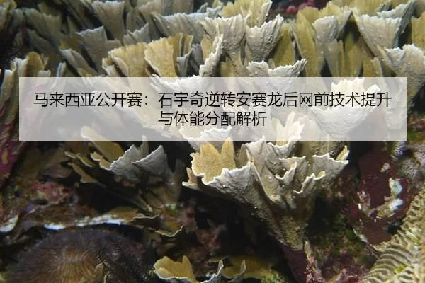 ma-lai-xi-ya-gong-kai-sai-shi-yu-qi-ni-zhuan-an-sai-long-hou-wang-qian-ji-shu-ti-sheng-yu-ti-neng-fen-pei-jie-xi-2-906.jpg