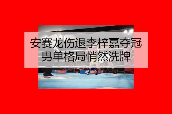 an-sai-long-shang-tui-li-zi-jia-duo-guan-nan-dan-ge-ju-qiao-ran-xi-pai-3-682.jpg